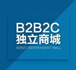 大商创b2b2c网上商城系统有哪些优势