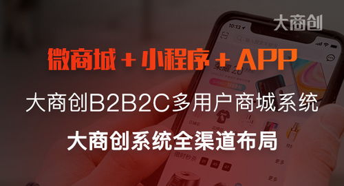 大商创商城系统什么架构的 什么是b2b2c