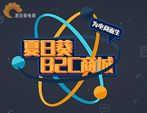 b2c商城系统凭这四大优点取胜